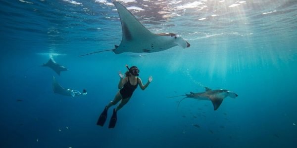 Snorkeling-at-Manta-Poin-Nusa-Penida-Transport-Bali